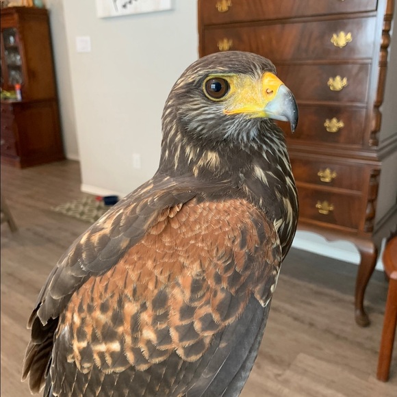 Meet your Posher, Nathan - Picture 1 of 1